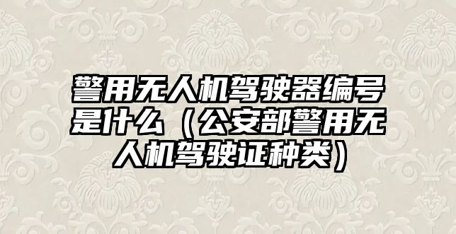 警用無人機駕駛器編號是什么（公安部警用無人機駕駛證種類）