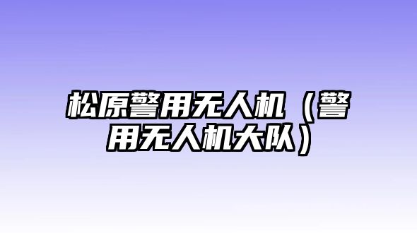 松原警用無人機(jī)（警用無人機(jī)大隊(duì)）