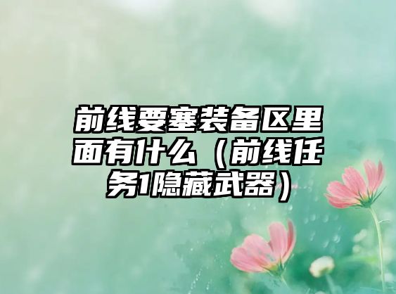 前線要塞裝備區里面有什么（前線任務1隱藏武器）