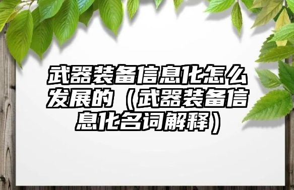 武器裝備信息化怎么發(fā)展的（武器裝備信息化名詞解釋）