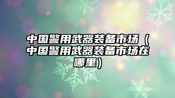 中國警用武器裝備市場（中國警用武器裝備市場在哪里）