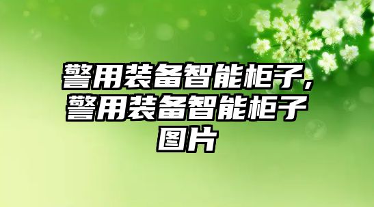 警用裝備智能柜子,警用裝備智能柜子圖片