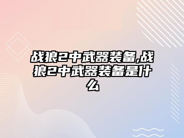 戰狼2中武器裝備,戰狼2中武器裝備是什么