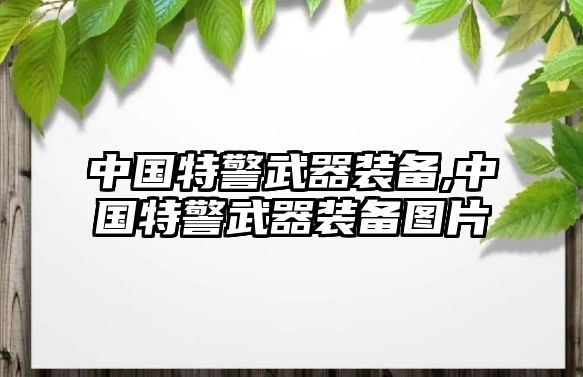 中國特警武器裝備,中國特警武器裝備圖片