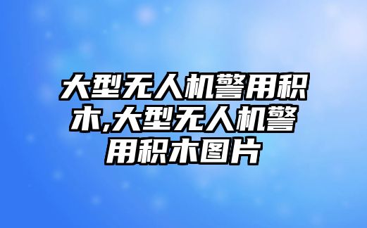 大型無人機警用積木,大型無人機警用積木圖片