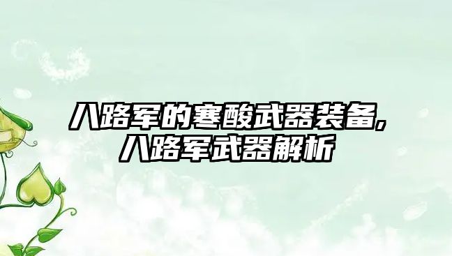 八路軍的寒酸武器裝備,八路軍武器解析