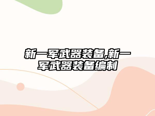 新一軍武器裝備,新一軍武器裝備編制