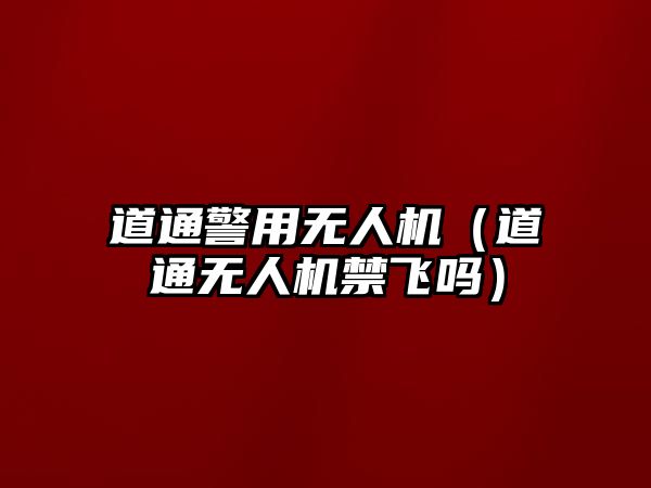 道通警用無人機（道通無人機禁飛嗎）