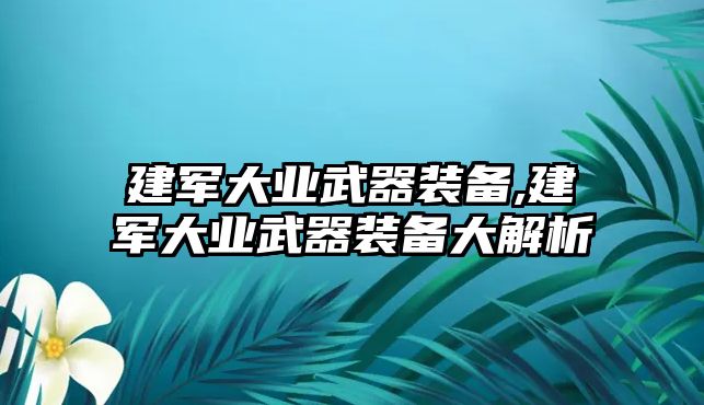 建軍大業武器裝備,建軍大業武器裝備大解析