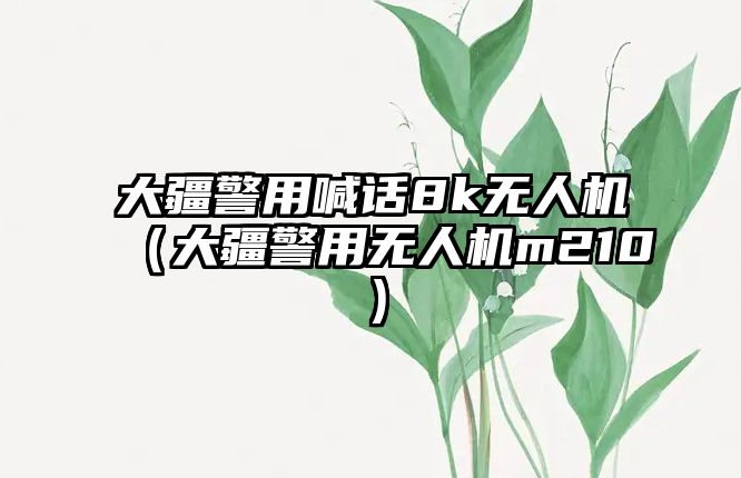 大疆警用喊話8k無人機（大疆警用無人機m210）