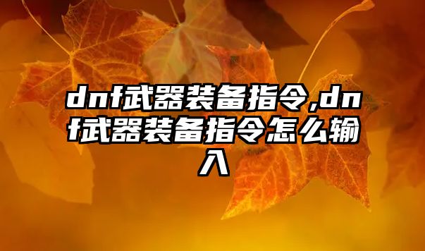 dnf武器裝備指令,dnf武器裝備指令怎么輸入