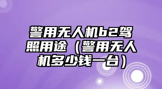 警用無人機b2駕照用途（警用無人機多少錢一臺）