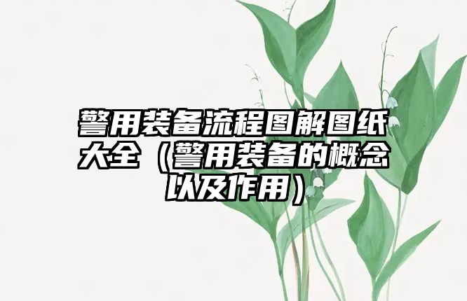 警用裝備流程圖解圖紙大全（警用裝備的概念以及作用）