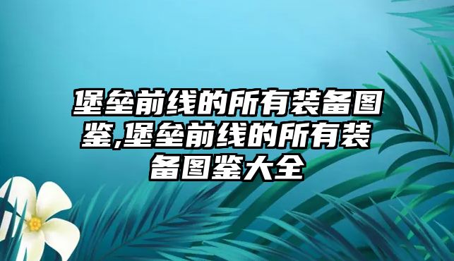 堡壘前線的所有裝備圖鑒,堡壘前線的所有裝備圖鑒大全