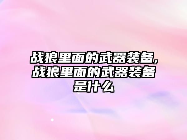 戰狼里面的武器裝備,戰狼里面的武器裝備是什么