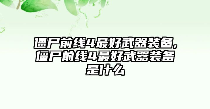 僵尸前線4最好武器裝備,僵尸前線4最好武器裝備是什么