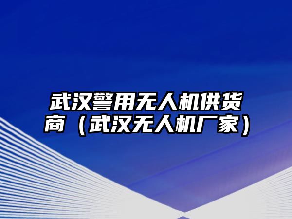 武漢警用無人機供貨商（武漢無人機廠家）