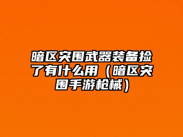 暗區(qū)突圍武器裝備撿了有什么用（暗區(qū)突圍手游槍械）