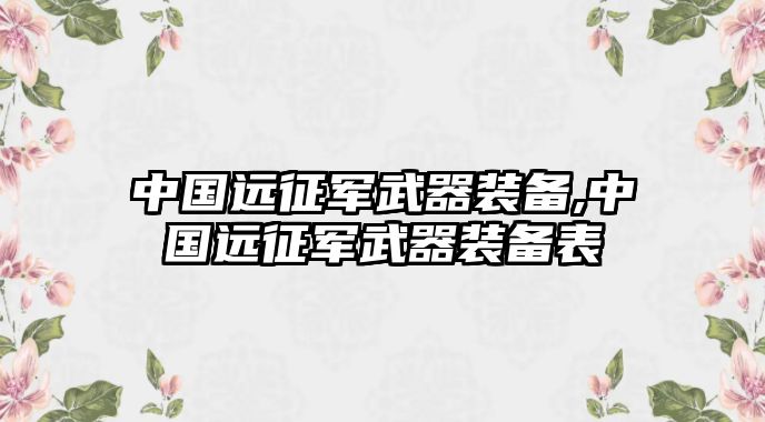 中國遠征軍武器裝備,中國遠征軍武器裝備表