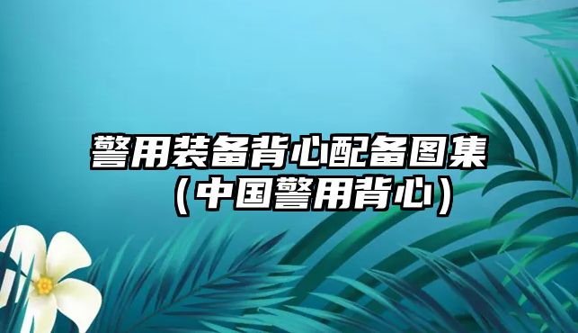 警用裝備背心配備圖集（中國警用背心）