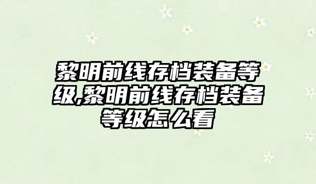 黎明前線存檔裝備等級,黎明前線存檔裝備等級怎么看