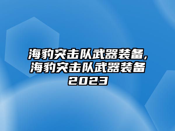 海豹突擊隊武器裝備,海豹突擊隊武器裝備2023