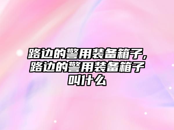 路邊的警用裝備箱子,路邊的警用裝備箱子叫什么