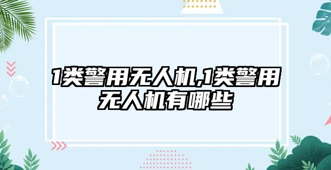 1類警用無人機,1類警用無人機有哪些