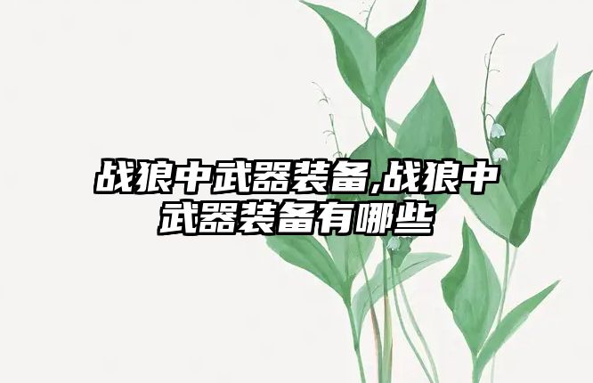 戰(zhàn)狼中武器裝備,戰(zhàn)狼中武器裝備有哪些