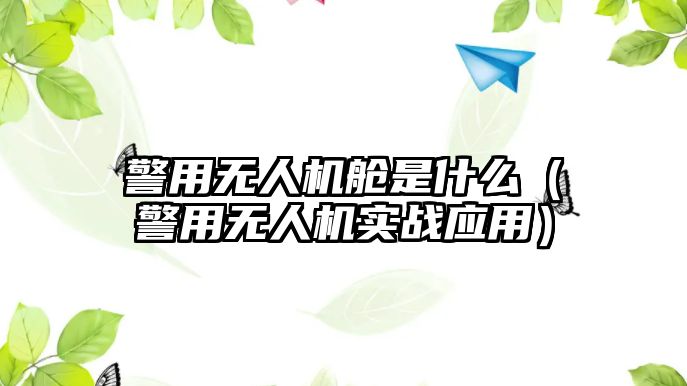 警用無人機艙是什么（警用無人機實戰應用）