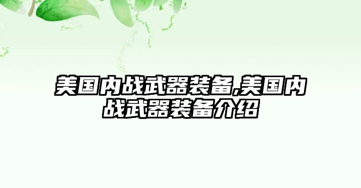 美國內戰武器裝備,美國內戰武器裝備介紹