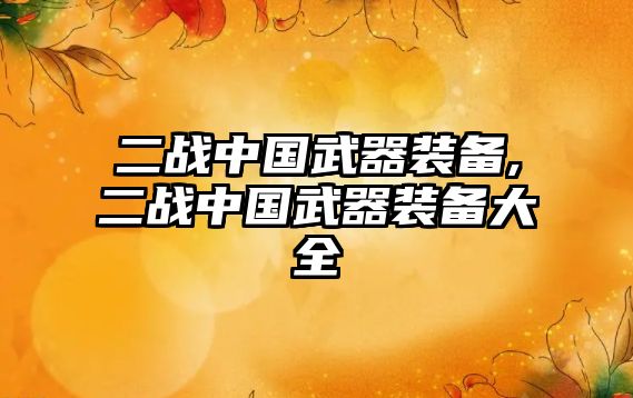 二戰中國武器裝備,二戰中國武器裝備大全