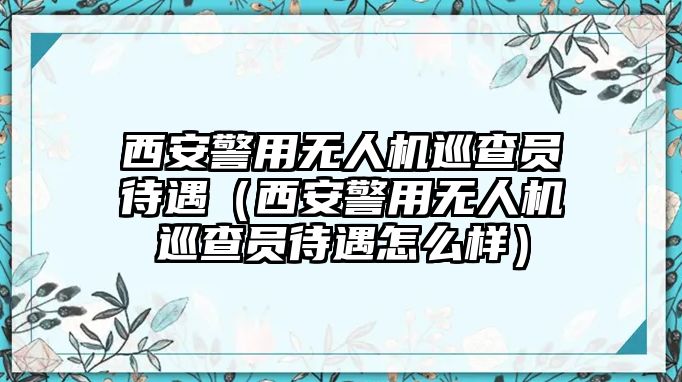 西安警用無人機巡查員待遇（西安警用無人機巡查員待遇怎么樣）