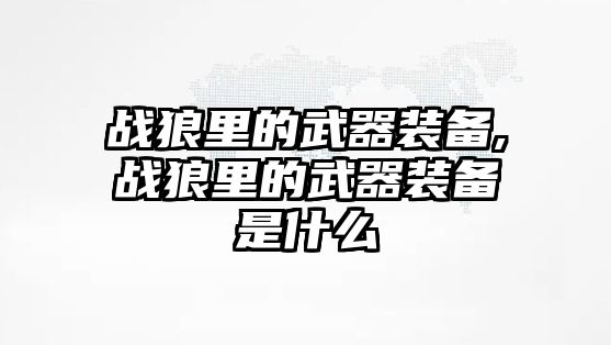 戰狼里的武器裝備,戰狼里的武器裝備是什么