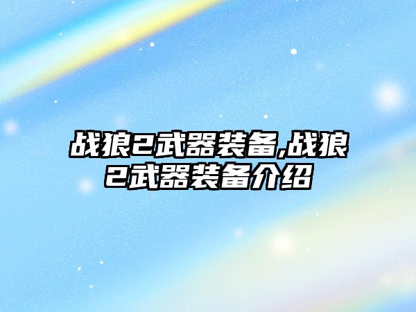 戰狼2武器裝備,戰狼2武器裝備介紹