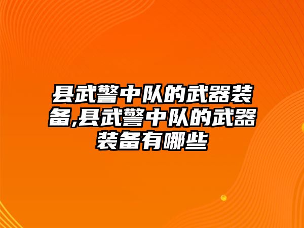 縣武警中隊的武器裝備,縣武警中隊的武器裝備有哪些