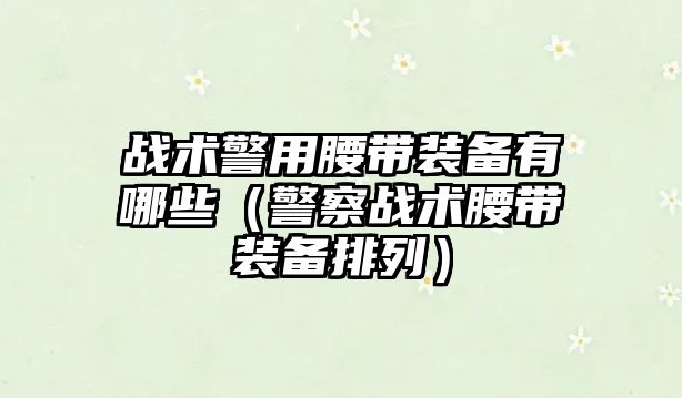 戰術警用腰帶裝備有哪些（警察戰術腰帶裝備排列）