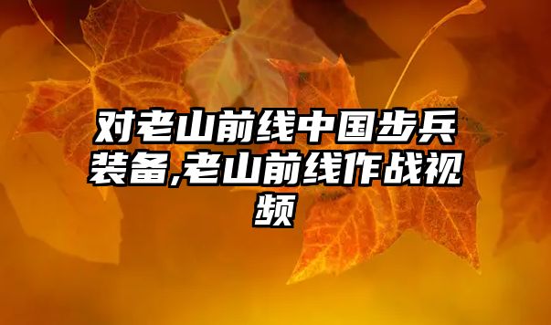 對老山前線中國步兵裝備,老山前線作戰視頻