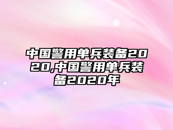 中國警用單兵裝備2020,中國警用單兵裝備2020年