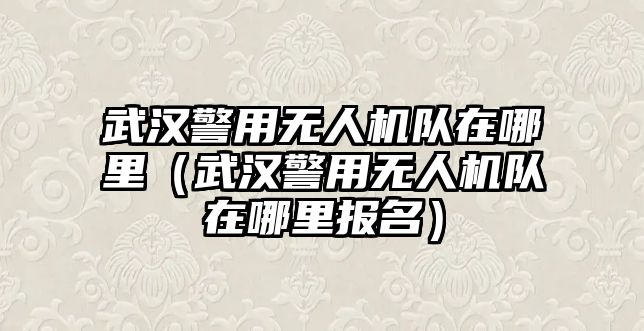 武漢警用無人機隊在哪里（武漢警用無人機隊在哪里報名）