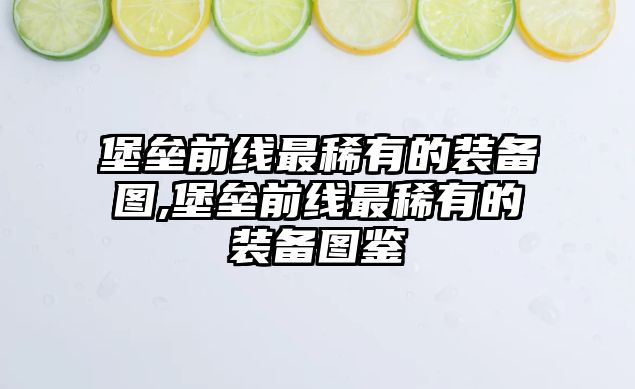 堡壘前線最稀有的裝備圖,堡壘前線最稀有的裝備圖鑒