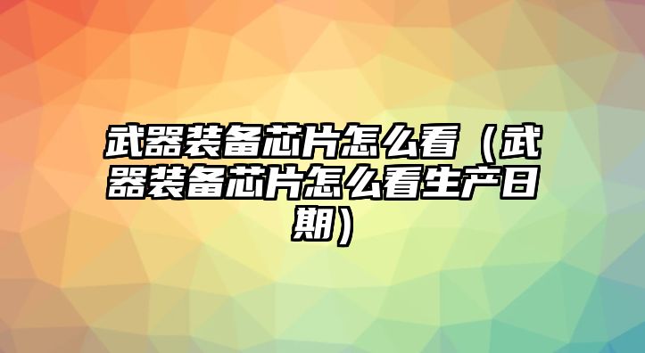 武器裝備芯片怎么看（武器裝備芯片怎么看生產日期）