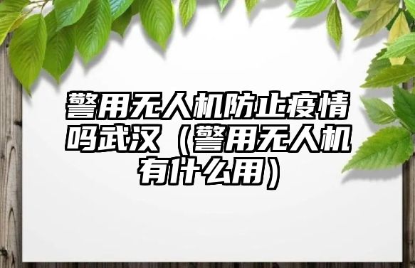 警用無人機(jī)防止疫情嗎武漢（警用無人機(jī)有什么用）