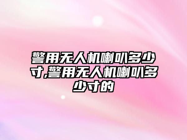 警用無(wú)人機(jī)喇叭多少寸,警用無(wú)人機(jī)喇叭多少寸的