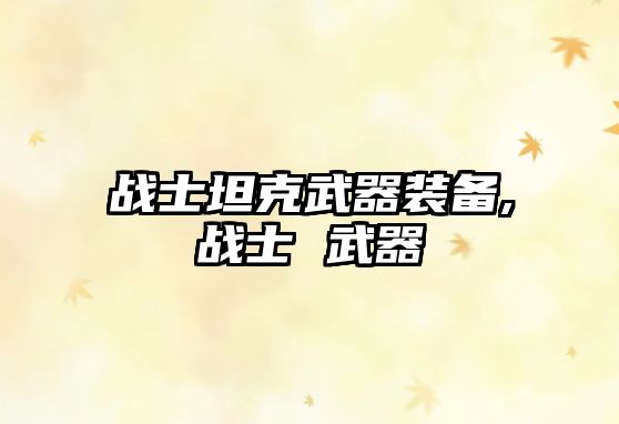 戰士坦克武器裝備,戰士 武器