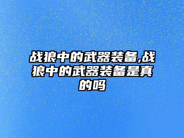 戰狼中的武器裝備,戰狼中的武器裝備是真的嗎