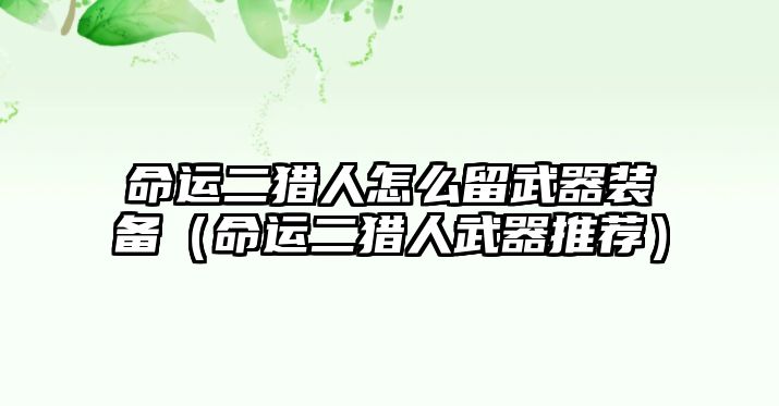 命運(yùn)二獵人怎么留武器裝備（命運(yùn)二獵人武器推薦）