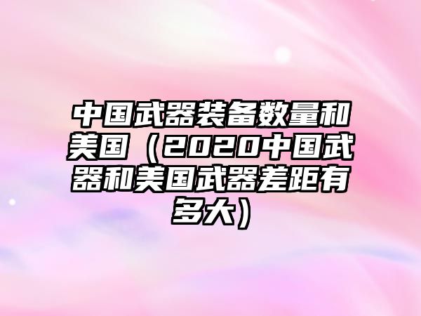 中國武器裝備數(shù)量和美國（2020中國武器和美國武器差距有多大）