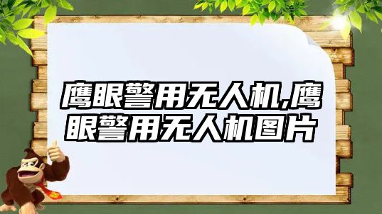 鷹眼警用無人機,鷹眼警用無人機圖片