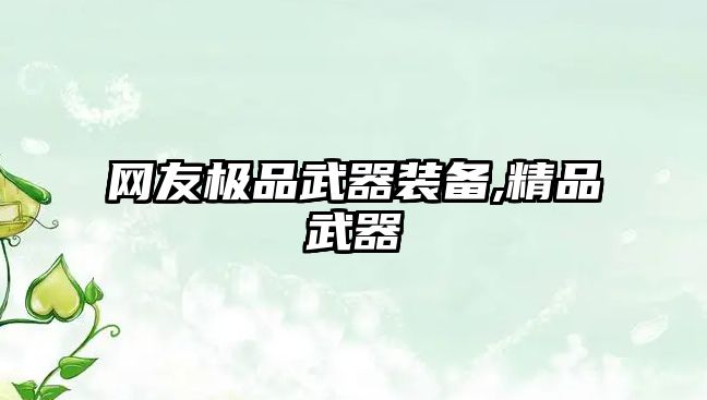 網(wǎng)友極品武器裝備,精品武器